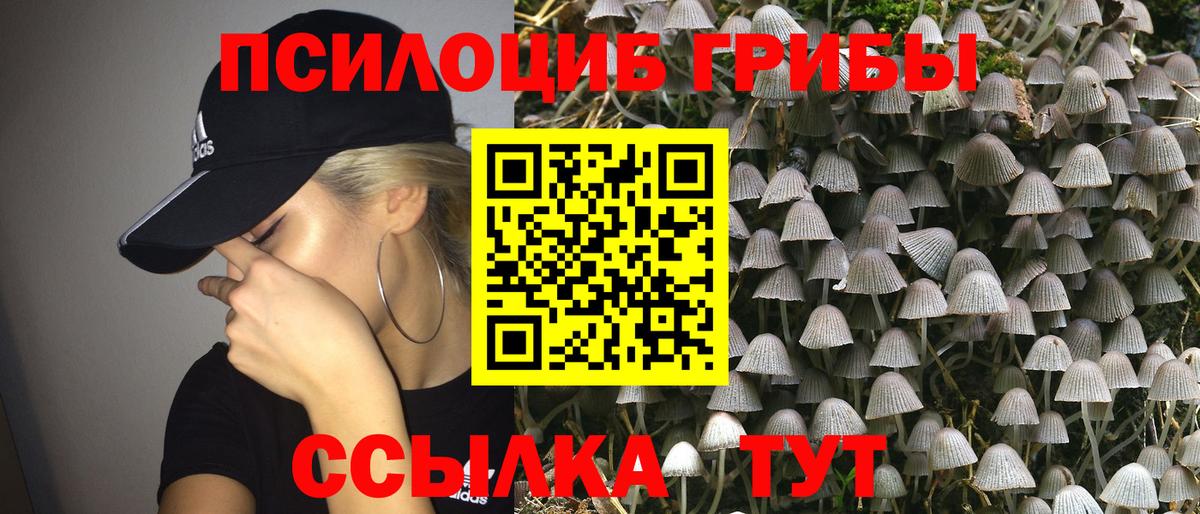 что такое   Ивантеевка  Галлюциногенные грибы прущие грибы 