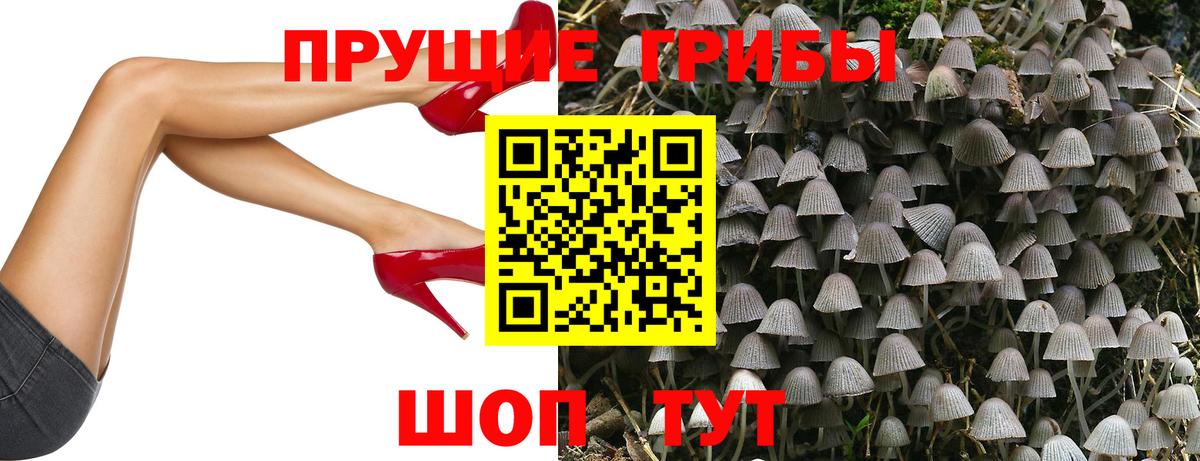 Ивантеевка  Галлюциногенные грибы Cubensis  Вход с VPN 