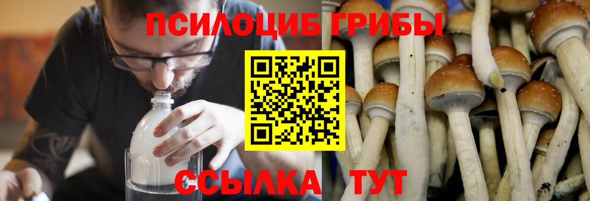 Галлюциногенные грибы ЛСД Ивантеевка